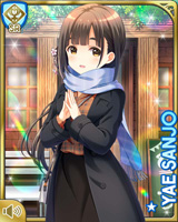 [Yae Sanjo] No.5841 Card Image