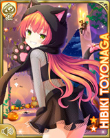 [Hibiki Toyonaga] No.4808 Card Image