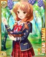 [Remi Tamai] No.4328 Card Image