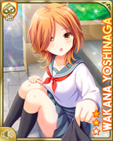 [Wakana Yoshinaga] No.5040 Card Image